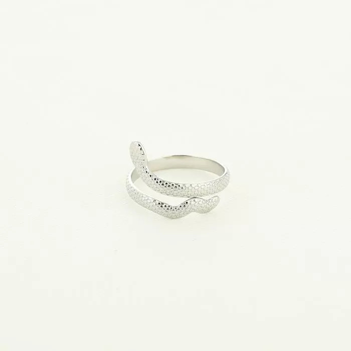 Ring Slangen