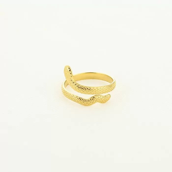 Ring Slangen